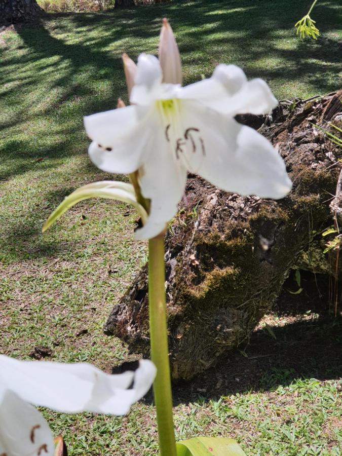Recanto Das Borboletas Sao Roque  Luaran gambar