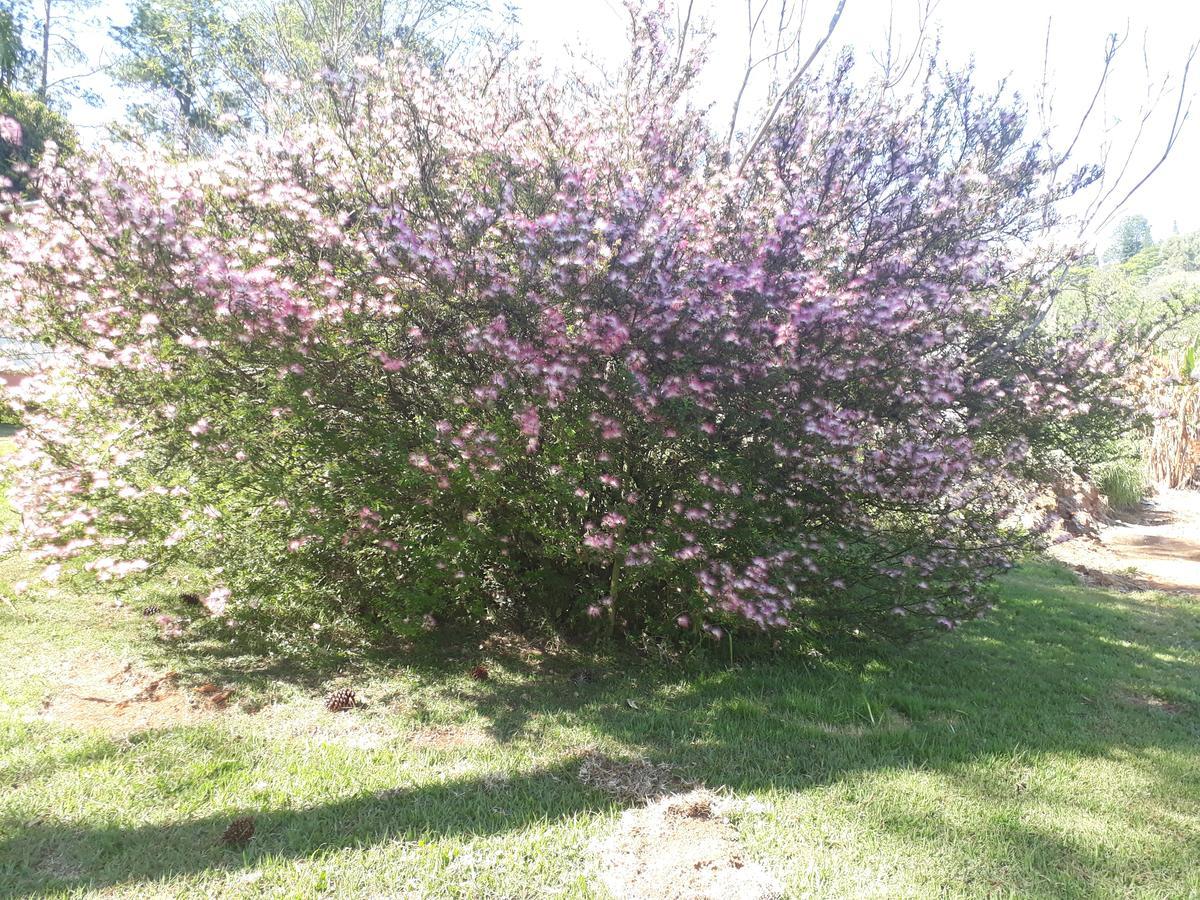 Recanto Das Borboletas Sao Roque  Luaran gambar