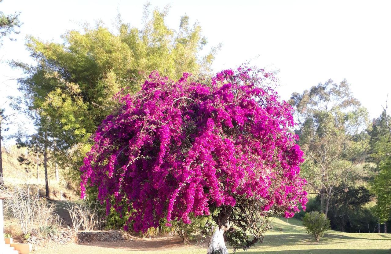 Recanto Das Borboletas Sao Roque  Luaran gambar