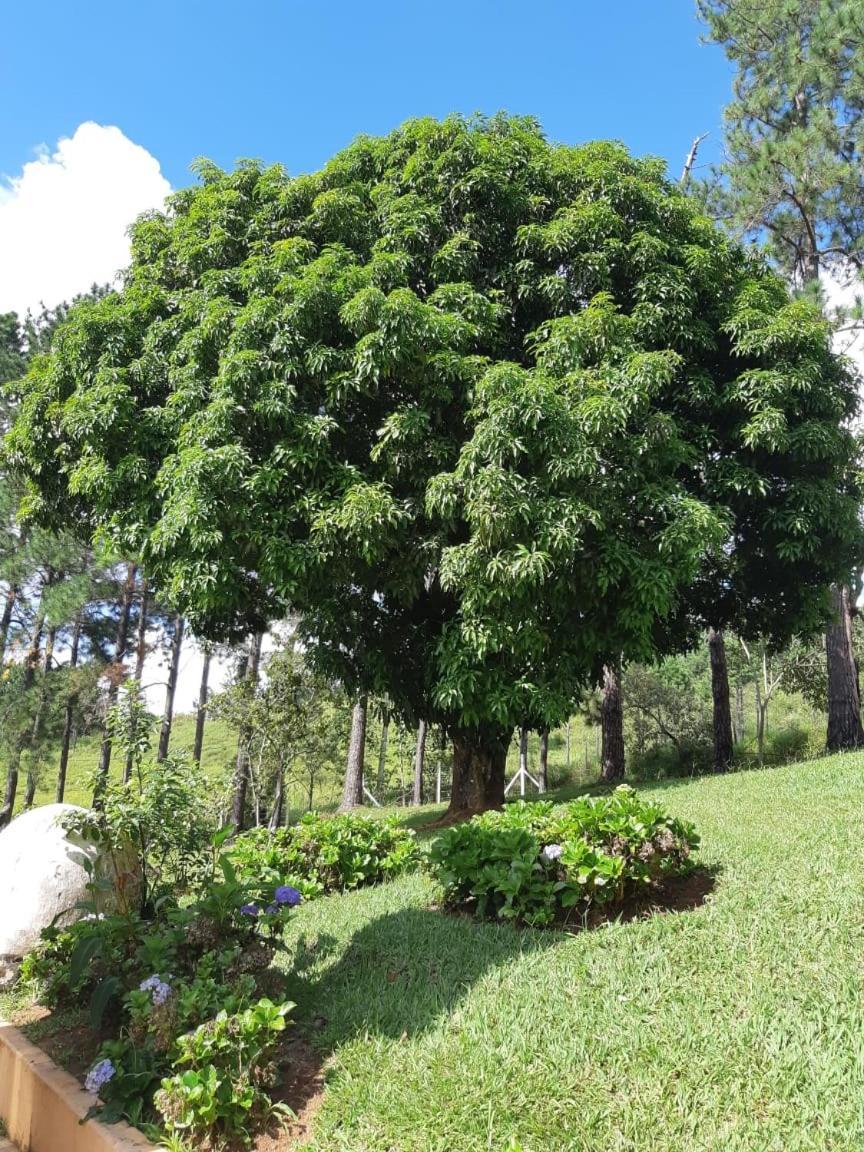 Recanto Das Borboletas Sao Roque  Luaran gambar
